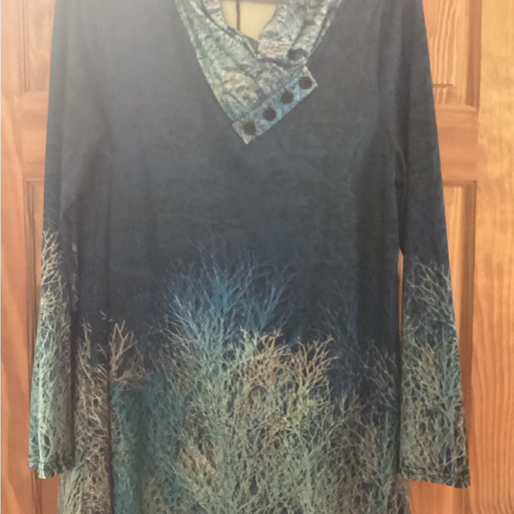 Lily Women’s Elegant Blue and Green Tunic blouse